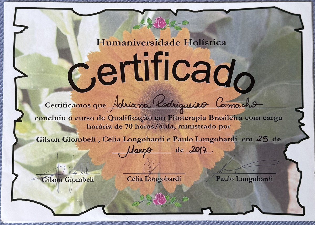 Certificado de Fisioterapia Brasileira — Humaniversidade Holística